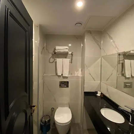 호텔 Dodo Old