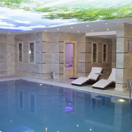 Dodo Old 이스탄불